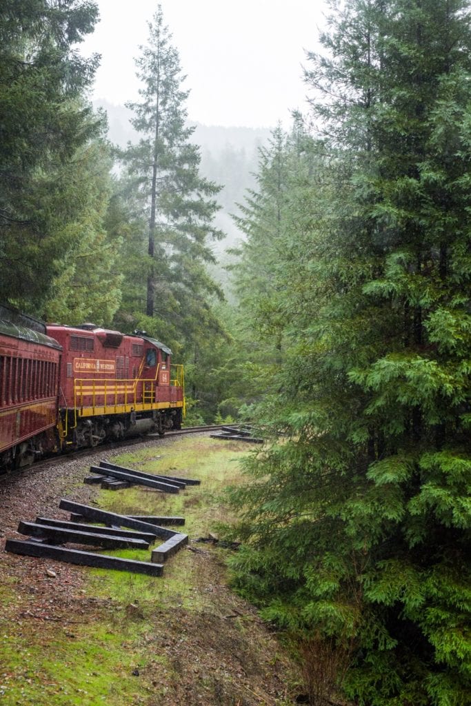 a red train rounding a bend in the woods