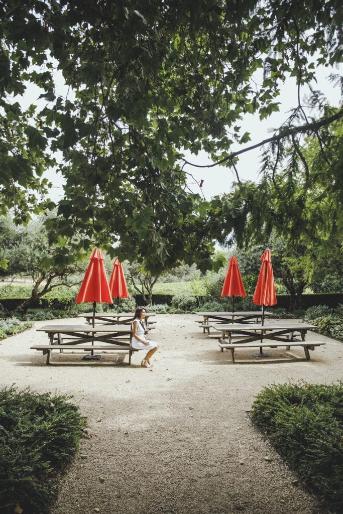 red umbrellas above picnic tables under the trees