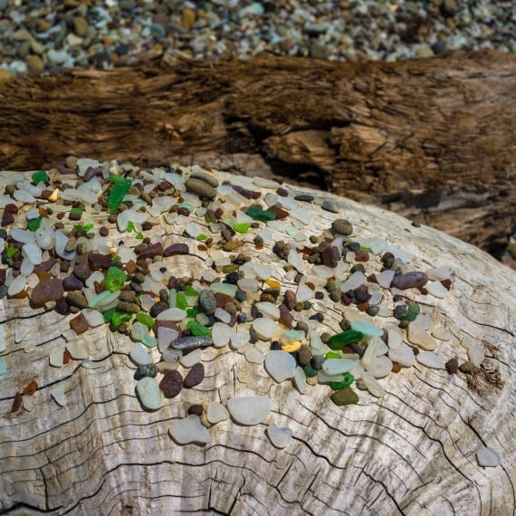 collection of sea glass on driftwood