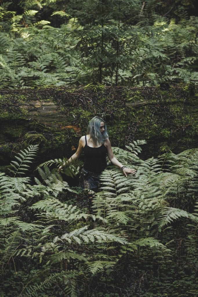a woman standing in ferns in the redwood forest